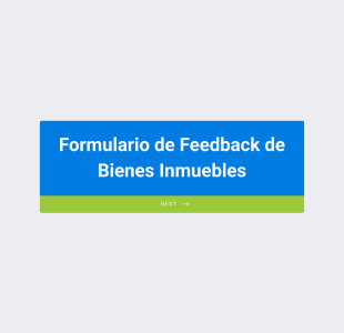 Formulario De Feedback De Bienes Inmuebles Form Template