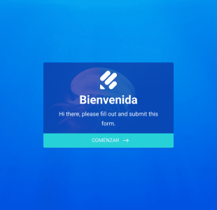 Formulario De Identidad Form Template