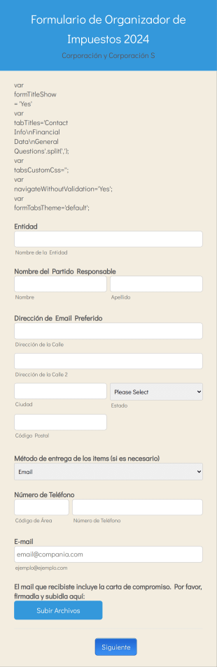 Formulario De Organizador De Impuestos 2024