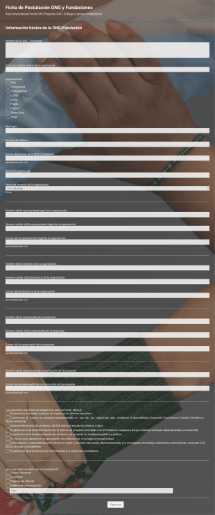 Formulario De Postulación ONG/ Fundaciones ONG DAC Form Template