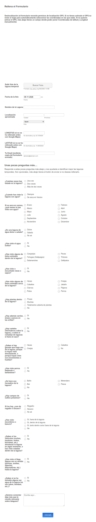 Formulario Introducción Lagunas Temporales