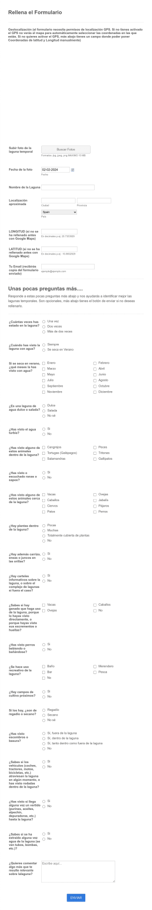 Formulario Introducción Lagunas Temporales Form Template