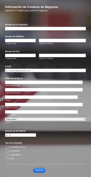 Formulario Para Aplicación A Crédito Form Template