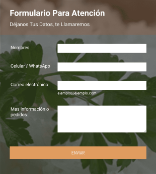 Formulario Para Atención