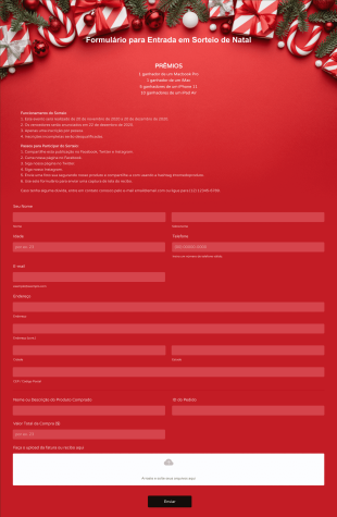 Formulário Para Entrada Em Sorteio De Natal Form Template