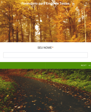 Formulário Para Envio De Textos Form Template