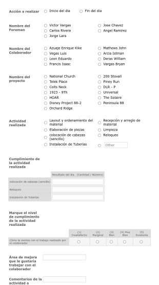 Formulario Para Resultados De Planificación De Proyectos