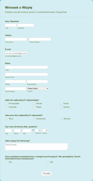 Formularz Wniosku O Wizytę Form Template