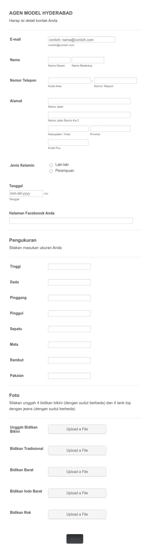 Formulir Aplikasi Model