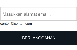 Formulir Email Sederhana Form Template
