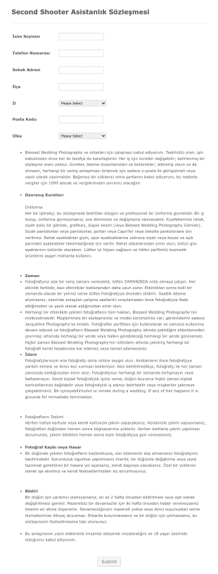 Fotoğrafçı Asistanı Sözleşme Form Template