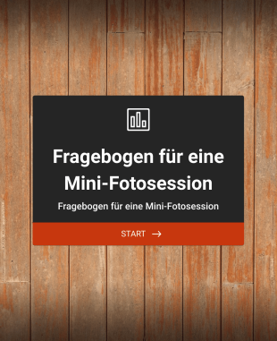 Fragebogen Für Eine Mini Fotosession Form Template