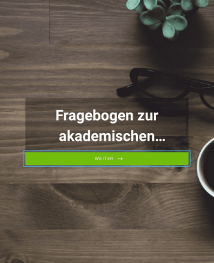 Fragebogen Zur Akademischen Leistung Form Template