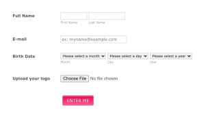 Logo Contest Form Template