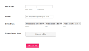 Logo Contest Form Template
