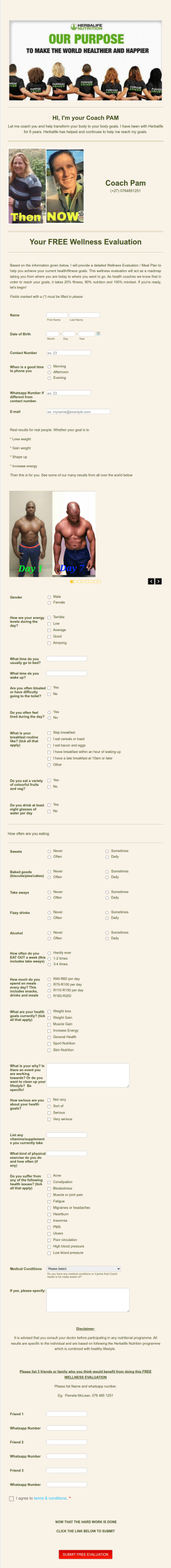 Free Wellness Evaluation Form Template