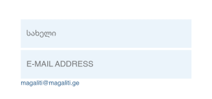 გამოწერის მინი ფორმა Form Template