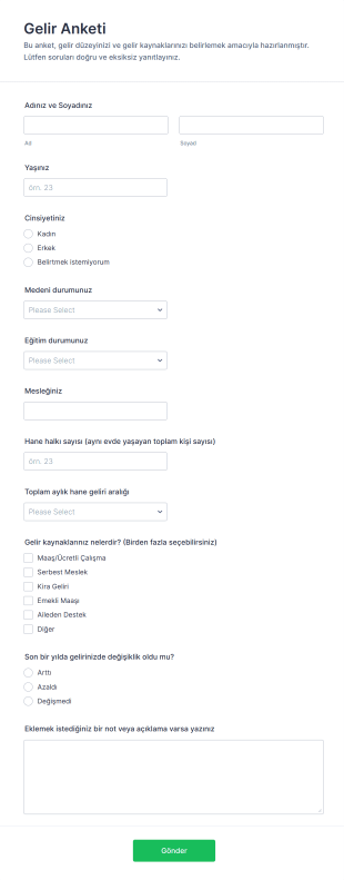 Gelir Anketi Form Şablonu