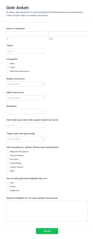 Gelir Anketi Form Şablonu