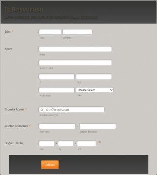 Genel İş Başvurusu Form Template