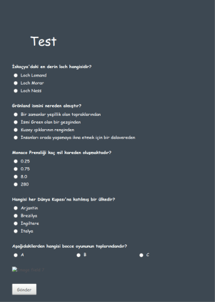 Genel Kültür Testi Form Şablonu