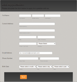 Generic Job Application Form Template
