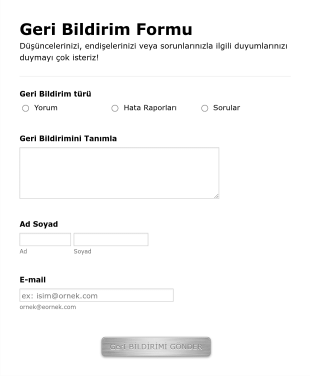 Geri Bildirim Form Şablonu