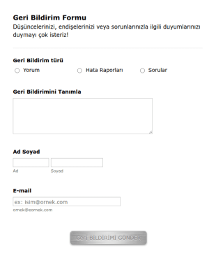 Geri Bildirim Form Şablonu