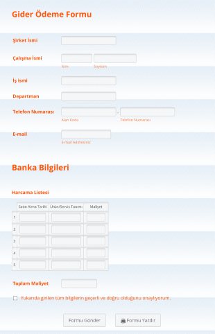 Gider Ödeme Form Template
