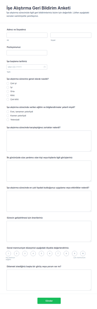 Giriş Geri Bildirim Anketi Form Şablonu