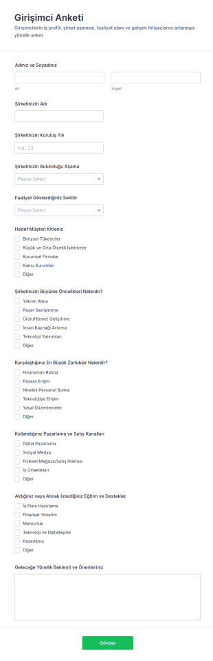 Girişimci Anketi Form Şablonu