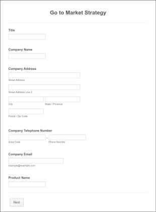 Go To Market Strategy Form Template