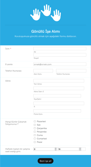 Gönüllü Form Template