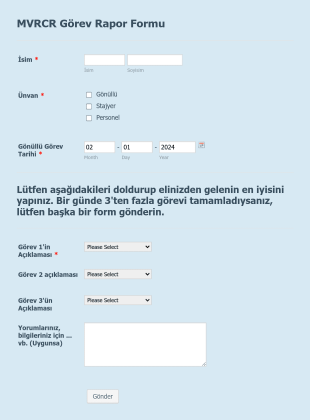 Gönüllü Görev Form Template
