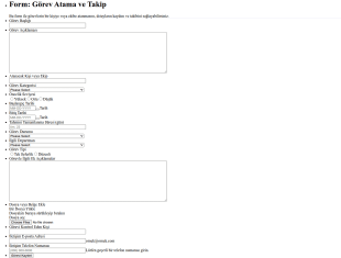 Görev Atama Form Şablonu