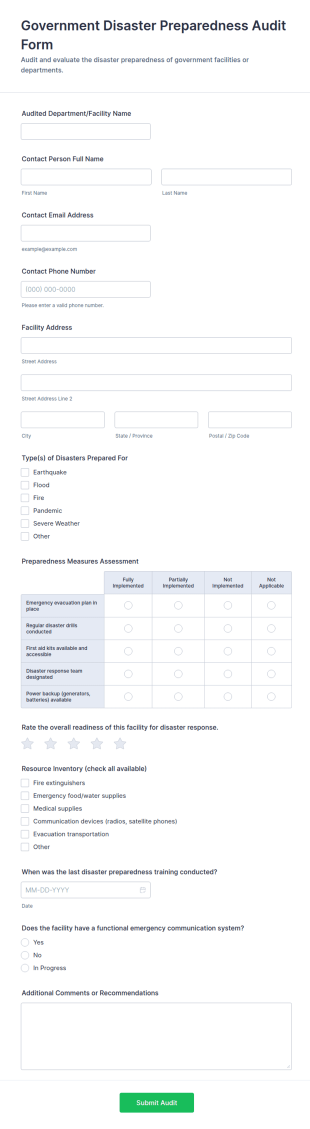 Government Disaster Preparedness Audit Form Template