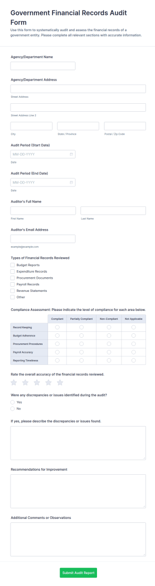 Government Financial Records Audit Form Template
