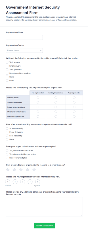 Government Internet Security Assessment Form Template