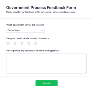 Government Process Feedback Form Template