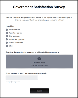 Government Satisfaction Survey Form Template