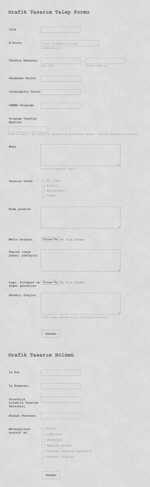 Grafik Tasarım Talep Form Template