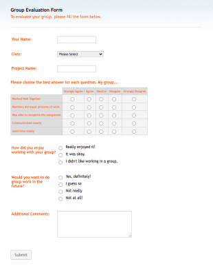 Group Evaluation Form Template