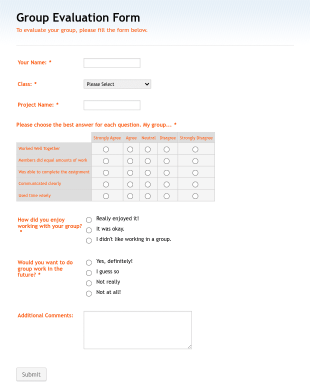 Group Evaluation Form Template