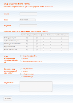 Grup Çalışması Değerlendirme Form Şablonu
