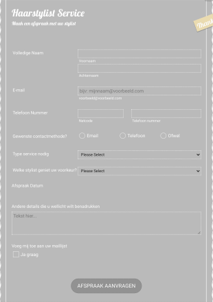 Haarstylist Afspraak Aanvraagformulier Form Template