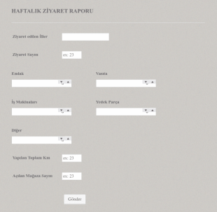 Haftalık Ziyaret Raporu Form Şablonu