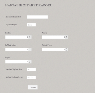 Haftalık Ziyaret Raporu Form Template