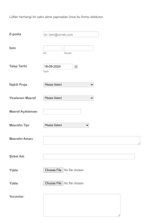 Harcama Talep Form Template