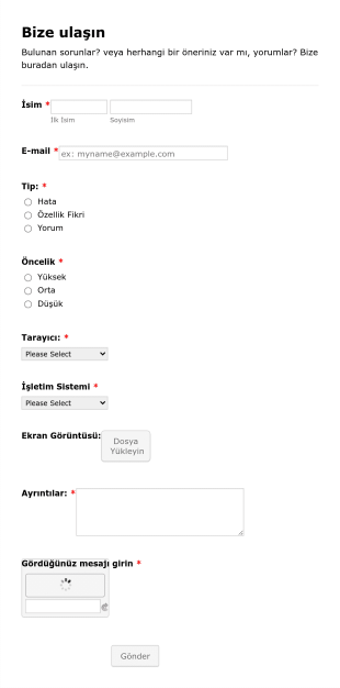 Hata Takip Form Template