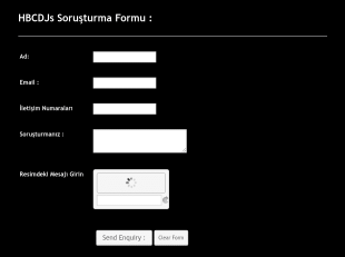HBCDJs Soruşturma Form Template